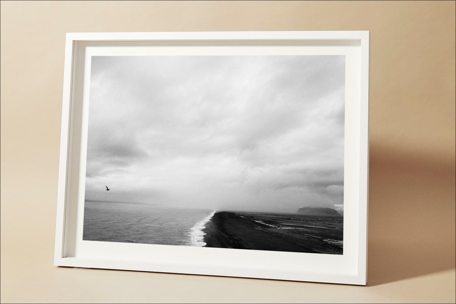 Iceland, Black Beach Bird #1